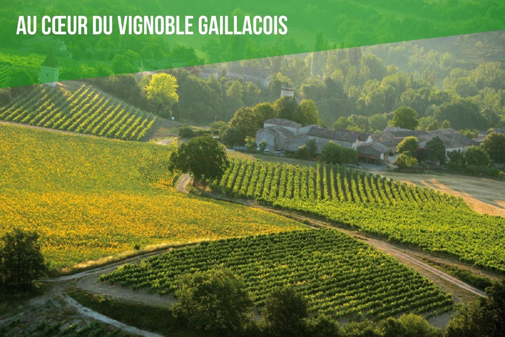 Le Cottage Nature Vigne Rouge Sauna Gaillac Entre Albi-Toulouse & Les Cottages Du Tarn Brens  Екстер'єр фото